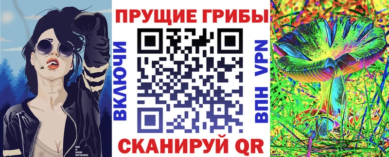 Купить  Чулым  Псилоцибиновые грибы MAGIC MUSHROOMS 